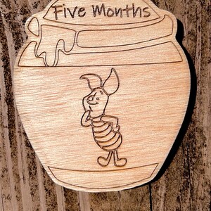 Winnie the Pooh Baby Month by Month Milestone Markers - Etsy