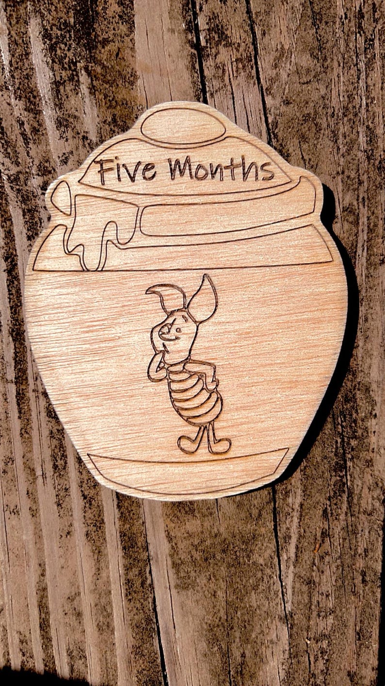 Winnie the Pooh Baby Month by Month Milestone Markers - Etsy
