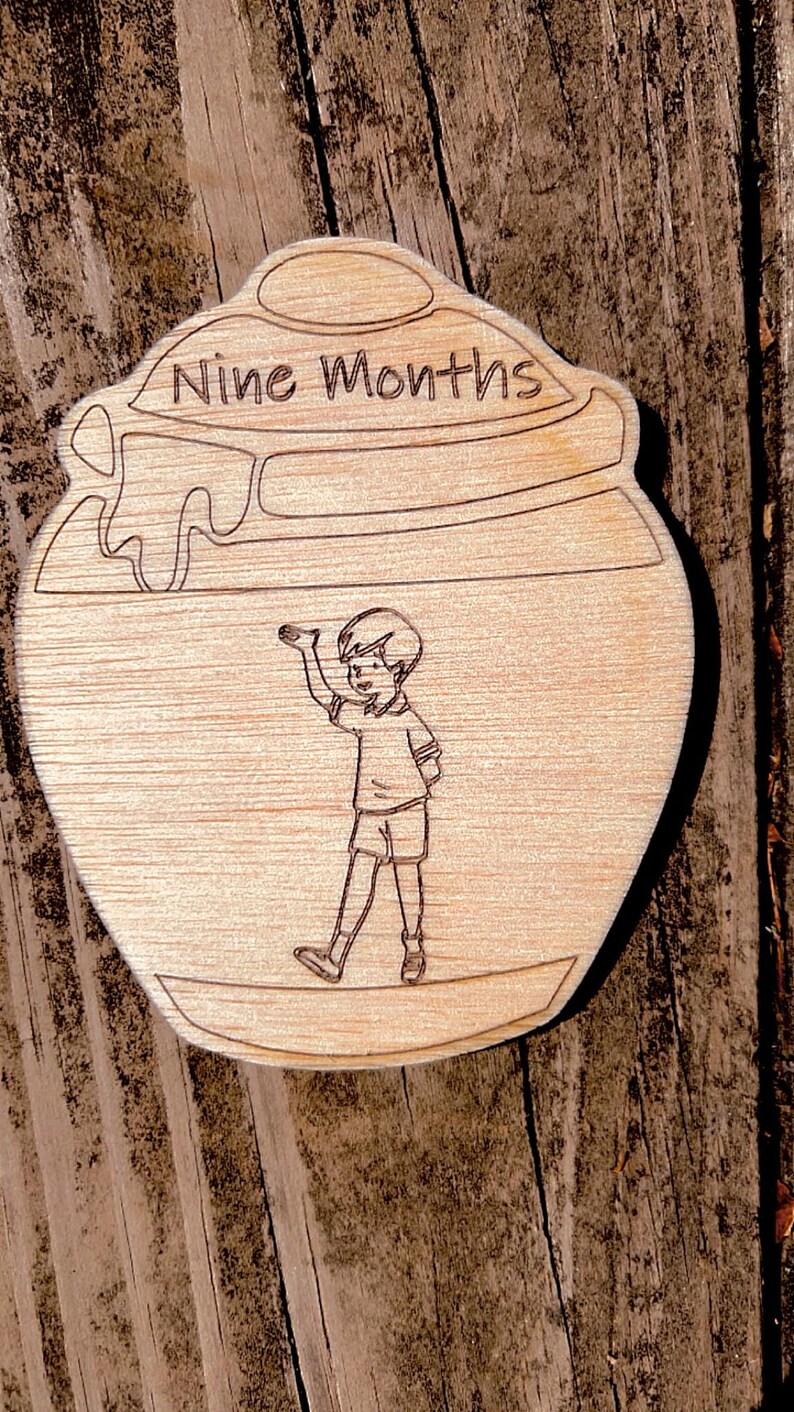 Winnie the Pooh Baby Month by Month Milestone Markers - Etsy