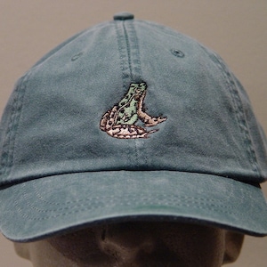 May include: A teal blue baseball cap with an embroidered green frog on the front.