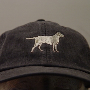 Yellow Labrador Retriever Dog Hat One 