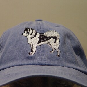 husky with hat