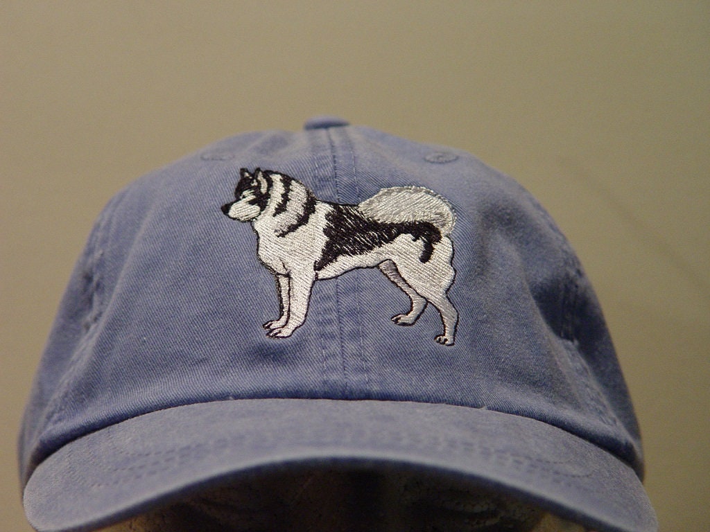 baseball cap dog house