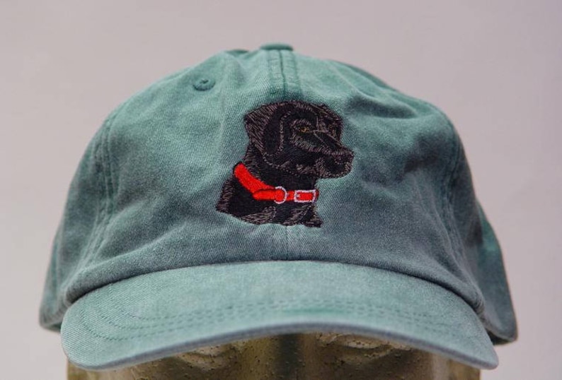 Pu&ograve; includere: Un cappello da baseball verde con un labrador retriever nero ricamato che indossa un collare rosso.