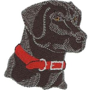 Pu&ograve; includere: Toppa ricamata di un Labrador Retriever marrone con un collare rosso. Il cane guarda a destra.