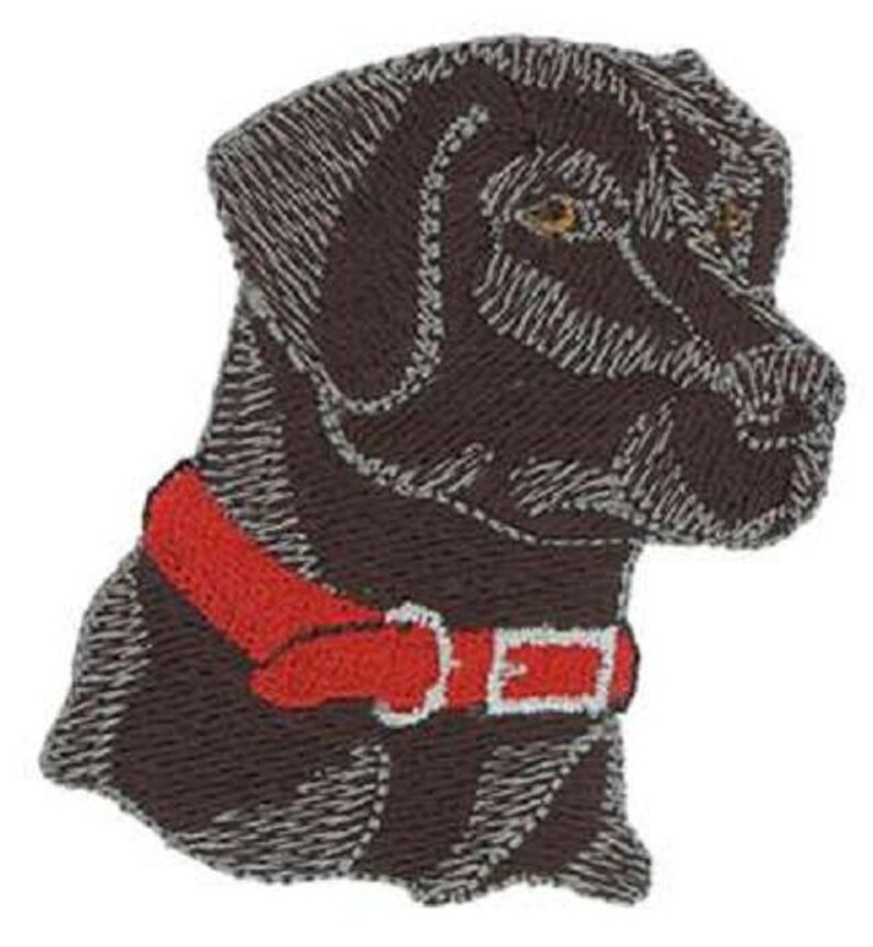 Pu&ograve; includere: Toppa ricamata di un Labrador Retriever marrone con un collare rosso. Il cane guarda a destra.