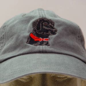 Pu&ograve; includere: Un cappello da baseball grigio con un labrador retriever nero ricamato che indossa un collare rosso.