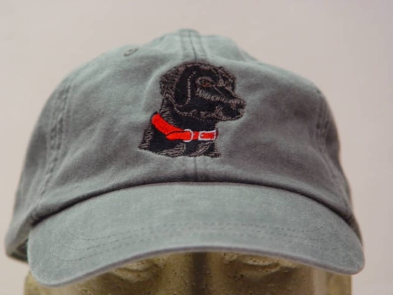 Pu&ograve; includere: Un cappello da baseball grigio con un labrador retriever nero ricamato che indossa un collare rosso.