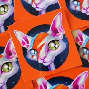 Briefkaart Kitty Stardust David Bowie, briefkaart glamrockmuziek, postcrossing, snail mail