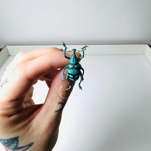 Peut inclure: Figurine de coléoptère turquoise et noir avec des marques détaillées. Le coléoptère a un corps texturé et est tenu par une main. Les antennes du coléoptère sont relevées et ses pattes sont tendues. La figurine est un objet décoratif unique.