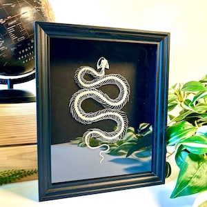 Black Frame with Trimeresurus Albolabris Snake Skeleton - Cabinet of Curiosities, For Wall Decoration
