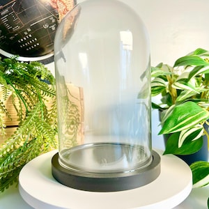 May include: A clear glass dome with a black wooden base sits on a white circular platform. The dome is empty and ready to display a small object or plant.