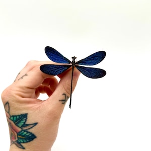 Può includere: Primo piano di una libellula con ali blu iridescenti e un corpo nero sottile. Le ali sono spiegate, mostrando le loro intricate venature. Questo insetto decorativo è un oggetto unico.