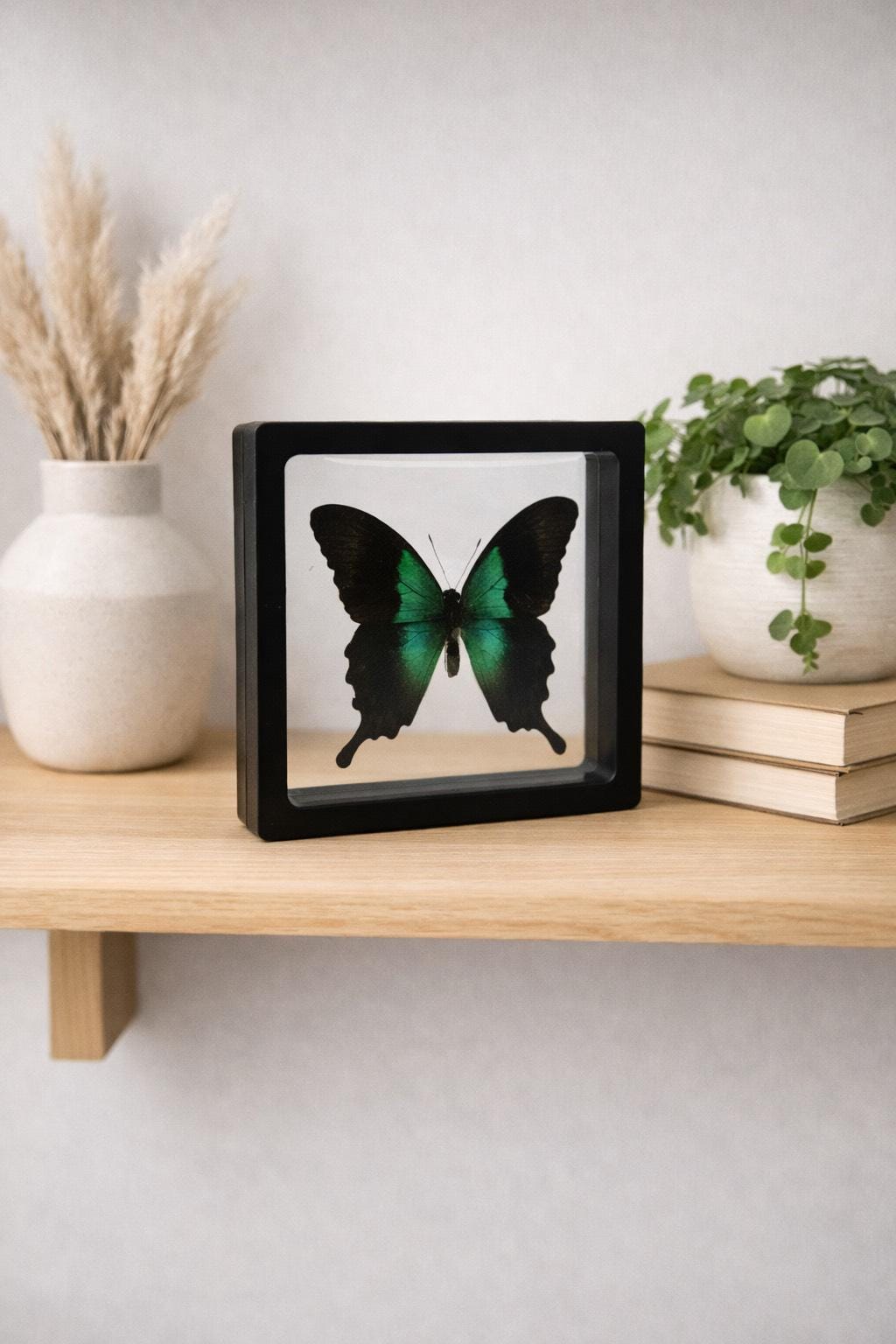Bestellen - Schwalbenschwanz (Papilio Machaon) In Freier Wildbahn