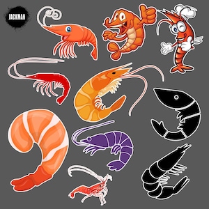 Shrimp Sea Food Ocean Animal Shrimps Illustration, Digital Print, Printable, Sticker Template, Clipart, Instant Download, png, jpg, psd
