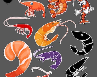 Shrimp Illustration Clipart, Seafood Animal Graphics (Digital Print)