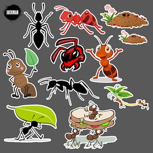Ants Insect Ant Small, Digital Sticker Template, Digital Print, Printable, Clip Art, png, svg, psd