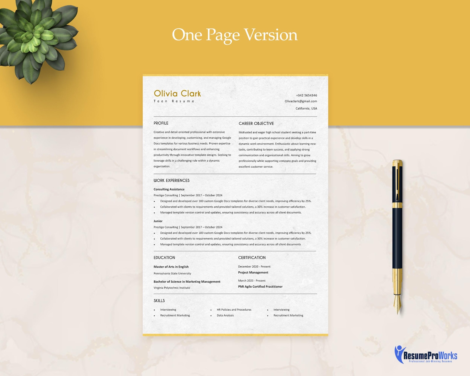 Teen Resume Template: High School Student, Entry Level CV (DOC & PDF ...