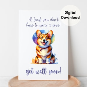 Corgi beterschap afdrukbare 5 x 7 wenskaart goed wensen humoristische kaart beter gevoel grappige downloadbare kaart snel herstel png-bestand kaart
