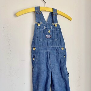 Big Smith Men's Denim Bib Overalls at Tractor Supply Co.