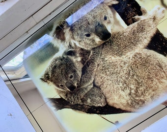 May include: A close-up of two koalas, one adult and one baby, cuddling on a tree branch. The koalas are brown and gray with soft fur.