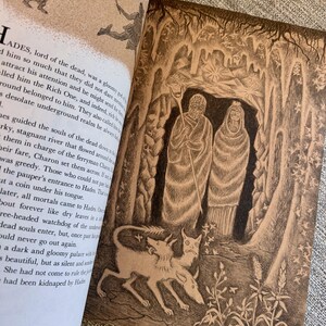 以下が含まれることがあります： 洞窟の入り口に立つ二人の人物と手前に描かれた三頭の犬の茶色のイラストが載った開いた本のページ。テキストは「HADES」という言葉で始まり、死者の王とその領域について説明しています。