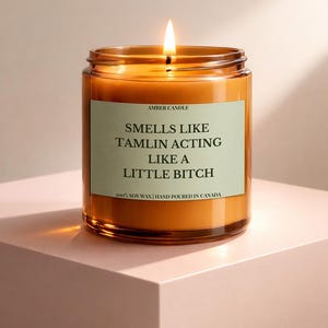 Candela a forma di libro fantasy / Profuma di Tamlin che si comporta come una stronzetta / Divertente regalo per lettori / Candela alla salvia in cera di soia per lettori