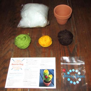 May include: A cactus beanie bag kit with green, brown, and yellow yarn, a small terracotta pot, stuffing, and a bag of red beads. The kit includes instructions for making a cactus beanie bag. The instructions are titled "Beanie Bag 2018 September Pattern".