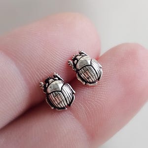May include: A pair of silver earrings featuring a detailed scarab beetle design. The earrings are small and delicate, perfect for everyday wear.