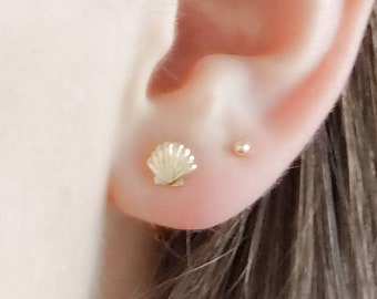 Dainty Seashell Studs • Tiny Gold Earrings • Stud Earrings • Silver Shell Studs • Minimalist • Gold Studs • Post Studs • Beachy