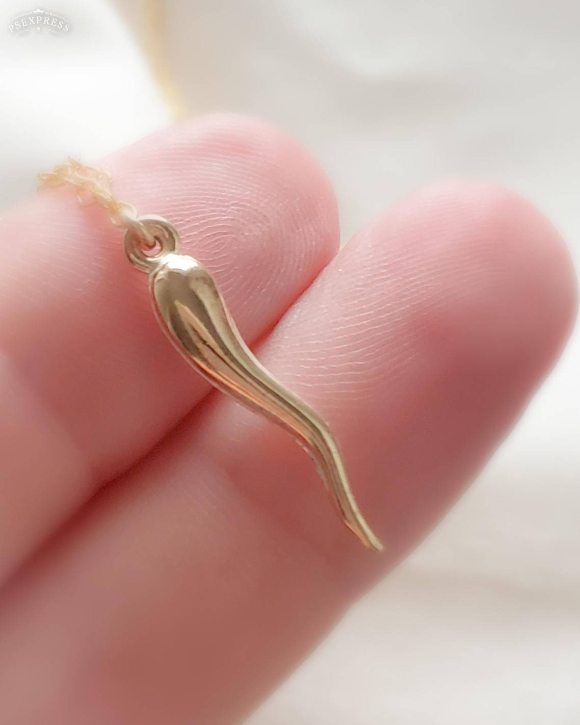 Italian Horn Necklace Good Luck Charm Italy Horn Amulet Etsy