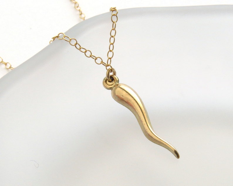 Italian Horn Necklace Good Luck Charm Italy Horn Amulet Etsy