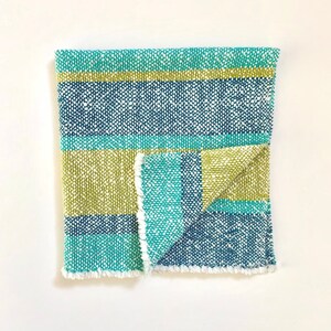 Cloth Napkins SET of TWO Dinner Napkins