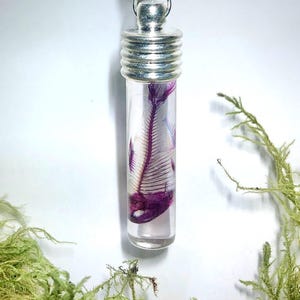 May include: A silver pendant necklace with a clear glass vial containing a preserved fish skeleton. The skeleton is white with purple accents.