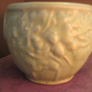 May include: A light green ceramic planter with a raised design of leaves and grapes. The planter has a rounded shape and a smooth, glazed finish.
