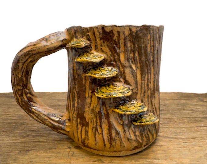 Turkey Tail Mushroom and Snail mug handmade