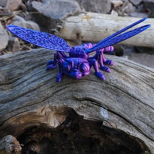 Dragonfly by Flexyfactory