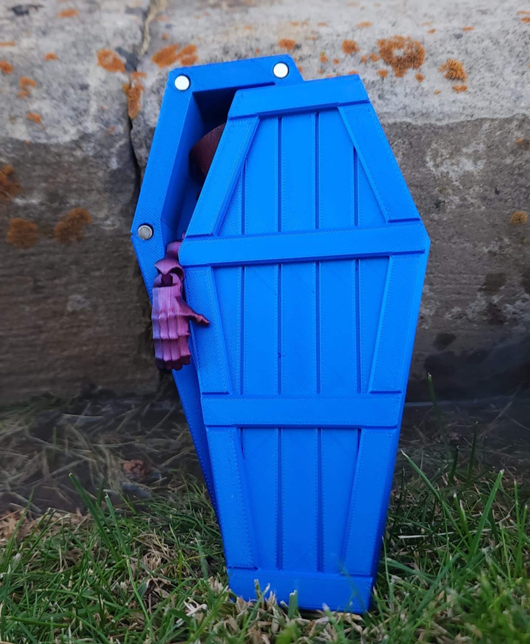 Random Suprise Coffin of Curiosities!