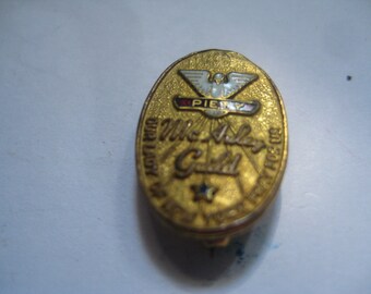 Antique McAuley Guild Pelican in her Piety Pin in Goldtone Metal