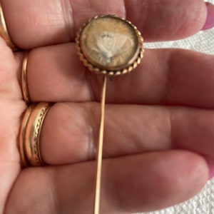 Victorian gold plated stickpin with butterfly under glass and rope edge