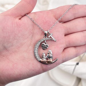 Exquisito collar de plata 925 personalizable, amuletos de luna y búho, regalos ideales para ella en el Día de la Madre con tarjetas de felicitación personalizadas