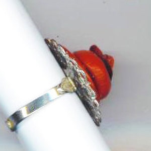 Puede incluir: Un anillo de plata con un dise&ntilde;o de concha roja y negra. El anillo est&aacute; engastado con una peque&ntilde;a concha redonda que tiene una superficie texturizada. La concha est&aacute; rodeada por una banda de plata con un dise&ntilde;o decorativo.