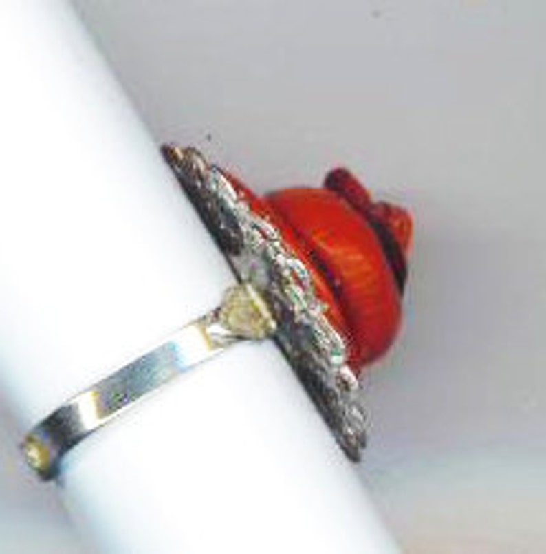Puede incluir: Un anillo de plata con un dise&ntilde;o de concha roja y negra. El anillo est&aacute; engastado con una peque&ntilde;a concha redonda que tiene una superficie texturizada. La concha est&aacute; rodeada por una banda de plata con un dise&ntilde;o decorativo.