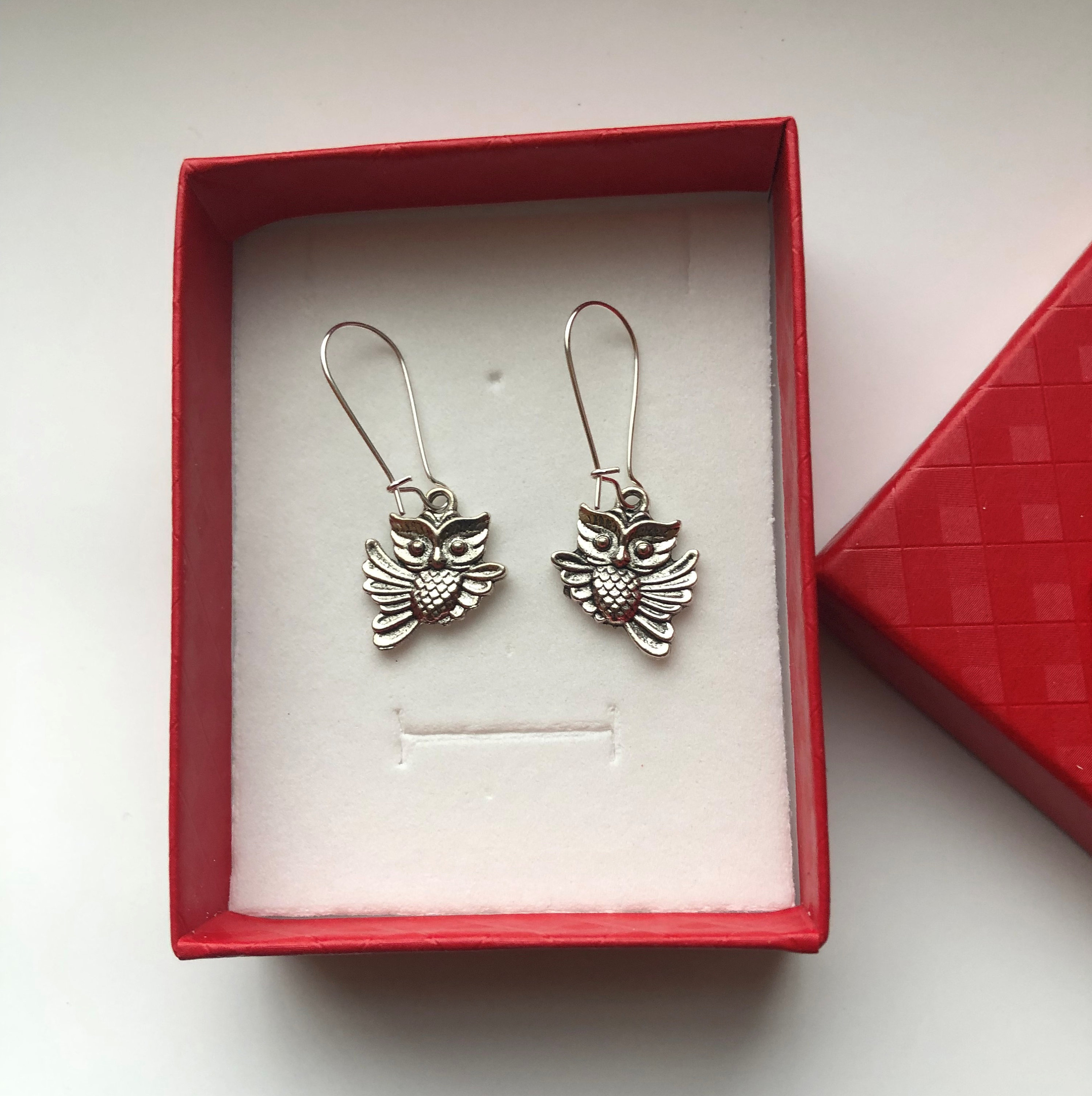 Owl Earrings with Silver Plated Kidney Ear Wires Small Silver Plated Owl Charms Two sided Owls Happy