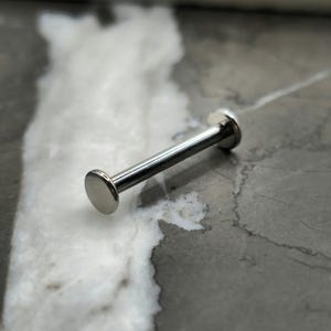 May include: A silver barbell with flat ends, commonly used for body piercings.