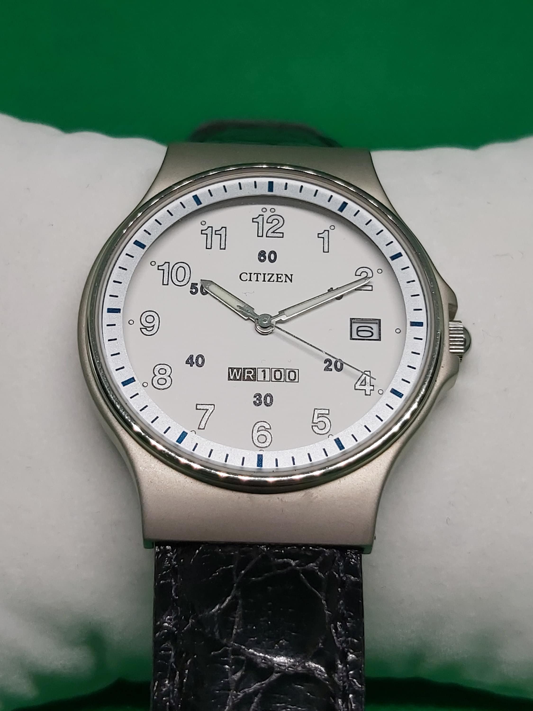 Buy Citizen Wr100 Watch Online In India India