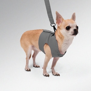 Custom luxury harness for dogs, dog and cat leash, gray cat harness, dog mom gift, pet supplies, dog and cat care, pet product