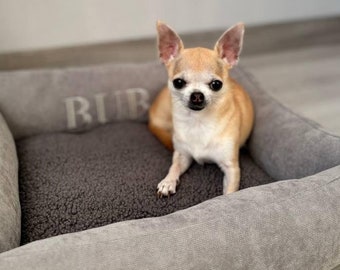 May include: A small, tan chihuahua dog sitting in a gray dog bed with the word "BUR" embroidered on the side.