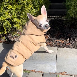 Beige summer dog coat, dog costume, gift for dog owners, big dog jacket, light coat for dog, dog mom gift, pet accessories, light dog vest