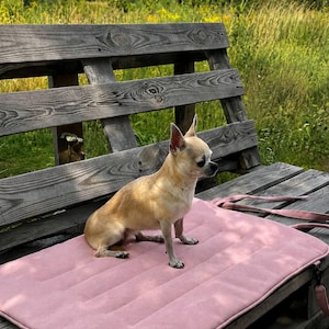 May include: A small tan Chihuahua dog sits on a rectangular, light pink pet mat. The mat features horizontal quilted stitching and a black embroidered label in the corner that reads Luna with a small paw print icon above the text.